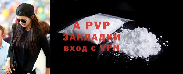 apvp Алексин