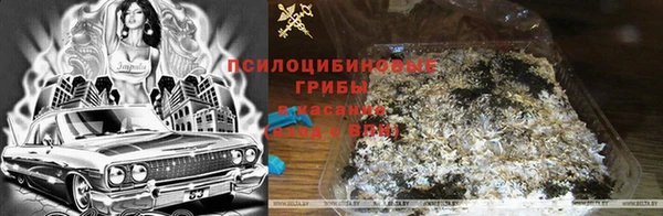 мдма Покровск