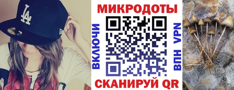 закладки Арамиль Псилоцибиновые грибы Psilocybine cubensis
